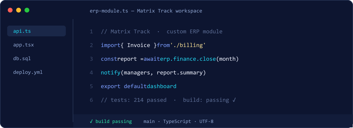 Custom ERP module code in the Matrix Track development workspace